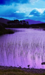 Preview wallpaper evening, water, grass, lake