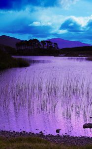 Preview wallpaper evening, water, grass, lake