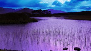 Preview wallpaper evening, water, grass, lake