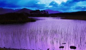 Preview wallpaper evening, water, grass, lake