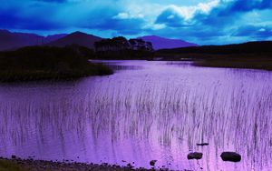 Preview wallpaper evening, water, grass, lake