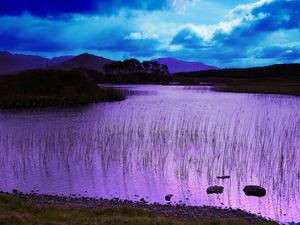 Preview wallpaper evening, water, grass, lake