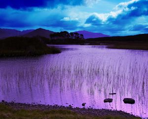 Preview wallpaper evening, water, grass, lake