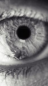 Preview wallpaper eye, eyelashes, pupil, black and white