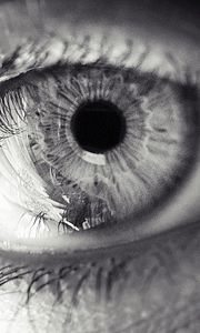 Preview wallpaper eye, eyelashes, pupil, black and white