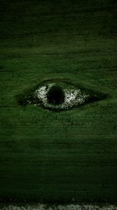 Preview wallpaper eye, field, flowers, trees, aerial view