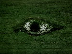 Preview wallpaper eye, field, flowers, trees, aerial view