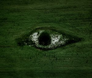Preview wallpaper eye, field, flowers, trees, aerial view