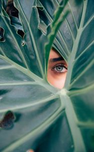 Preview wallpaper eye, leaf, plant