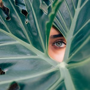 Preview wallpaper eye, leaf, plant