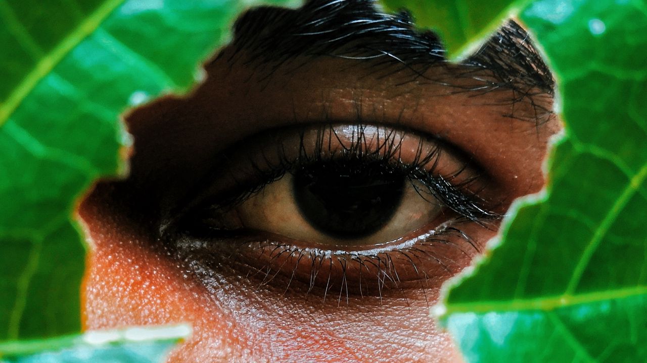 Wallpaper eye, leaf, view, man