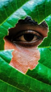 Preview wallpaper eye, leaf, view, man