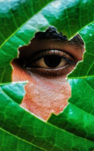 Preview wallpaper eye, leaf, view, man