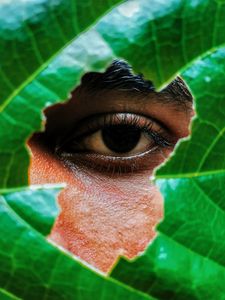 Preview wallpaper eye, leaf, view, man