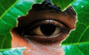 Preview wallpaper eye, leaf, view, man