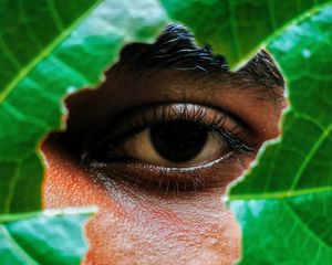 Preview wallpaper eye, leaf, view, man