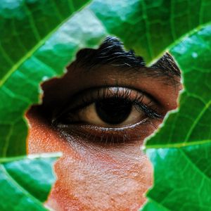 Preview wallpaper eye, leaf, view, man