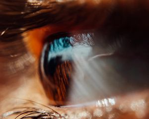 Preview wallpaper eye, macro, pupil, eyelashes