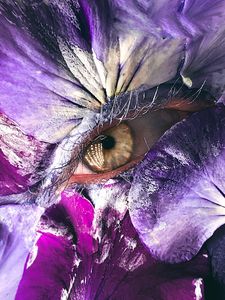 Preview wallpaper eye, petals, makeup, creative, macro