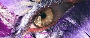 Preview wallpaper eye, petals, makeup, creative, macro