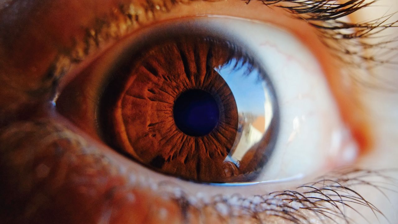 Wallpaper eye, pupil, close up, brown, highlight