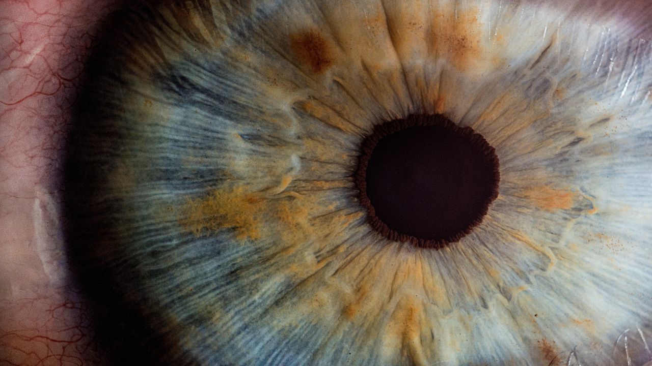 Wallpaper eye, pupil, close-up