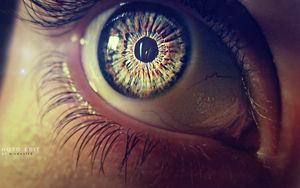 Preview wallpaper eye, pupil, eyelashes