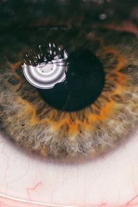Preview wallpaper eye, pupil, eyelashes, veins