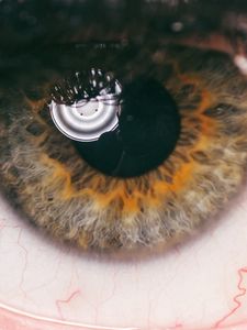 Preview wallpaper eye, pupil, eyelashes, veins