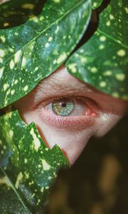 Preview wallpaper eye, pupil, macro, leaves