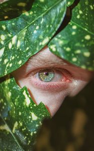 Preview wallpaper eye, pupil, macro, leaves