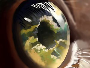 Preview wallpaper eye, pupil, reflection, clouds, art