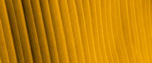 Preview wallpaper fabric, folds, stripes, texture, yellow