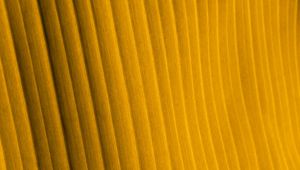 Preview wallpaper fabric, folds, stripes, texture, yellow