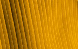 Preview wallpaper fabric, folds, stripes, texture, yellow