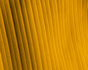 Preview wallpaper fabric, folds, stripes, texture, yellow