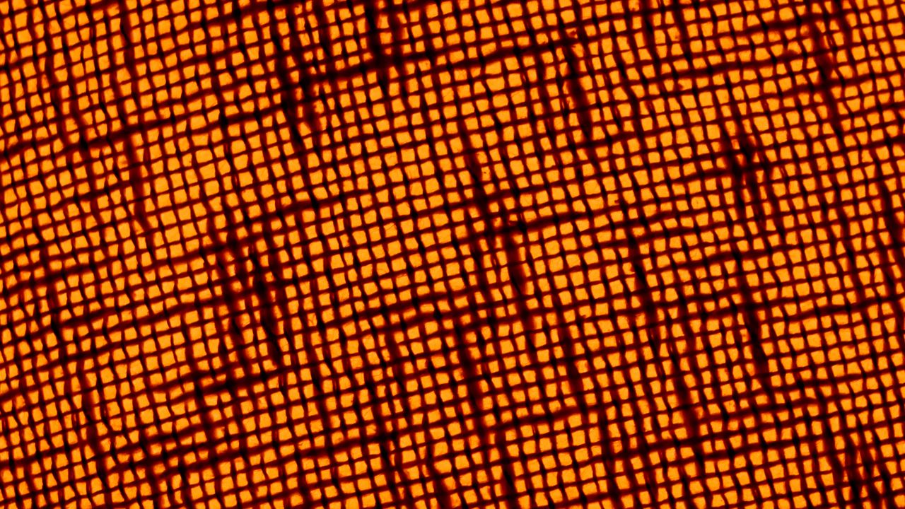 Wallpaper fabric, macro, texture