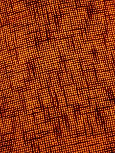 Preview wallpaper fabric, macro, texture