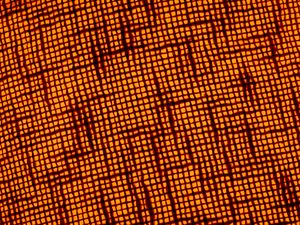 Preview wallpaper fabric, macro, texture