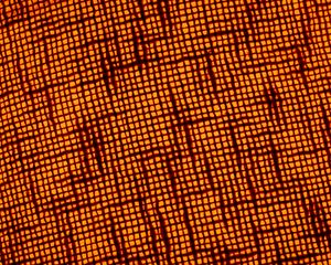 Preview wallpaper fabric, macro, texture