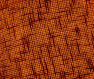 Preview wallpaper fabric, macro, texture