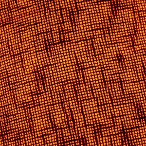 Preview wallpaper fabric, macro, texture