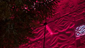 Preview wallpaper facade, architecture, relief, leaves, pink, backlight