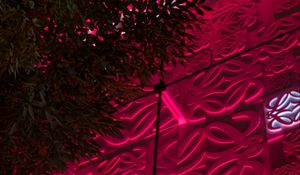 Preview wallpaper facade, architecture, relief, leaves, pink, backlight