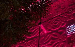 Preview wallpaper facade, architecture, relief, leaves, pink, backlight