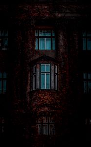 Preview wallpaper facade, windows, building, leaves, dark