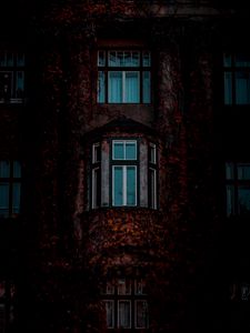 Preview wallpaper facade, windows, building, leaves, dark