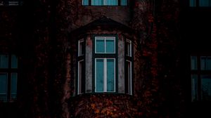 Preview wallpaper facade, windows, building, leaves, dark