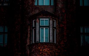 Preview wallpaper facade, windows, building, leaves, dark