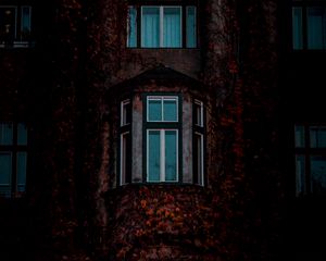 Preview wallpaper facade, windows, building, leaves, dark
